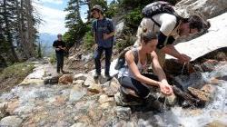 hikers drinking from stream