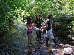 Students conducting research in river
