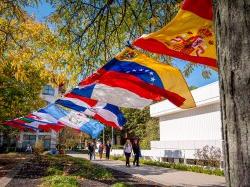 在西班牙传统月的庆祝街区派对活动中，文化旗帜在风中飘扬.