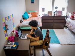 A student sitting down at a laptop in her room studying.