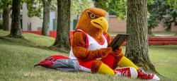 Image of Rocky the Red Hawk sitting outside in the campus Quad looking at a tablet.