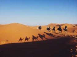 学生骑骆驼游览沙漠